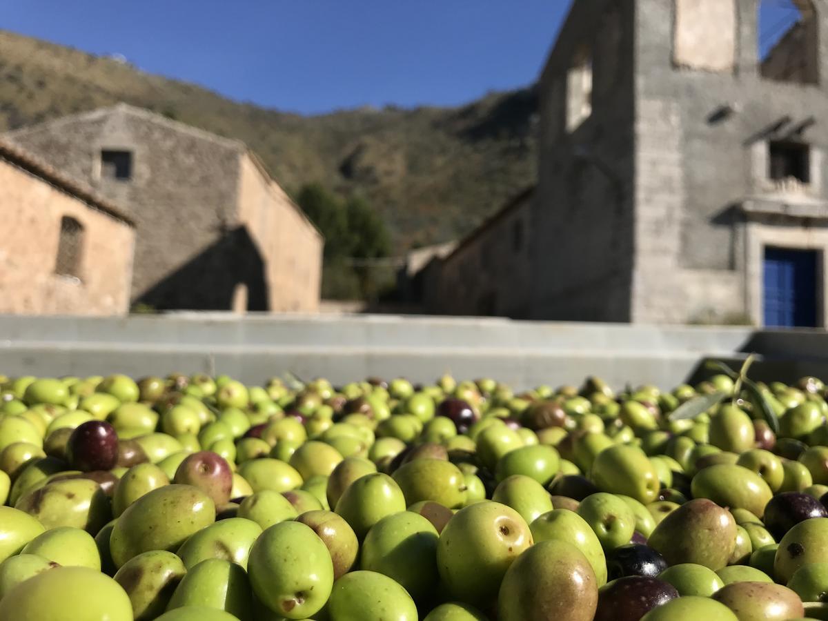 La Ferula Panzió Scillato  Kültér fotó